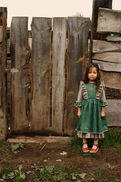 Милые Дети Красивых Зеленых Платьях Прогуливаясь Ферме Фоне Коз — стоковое фото