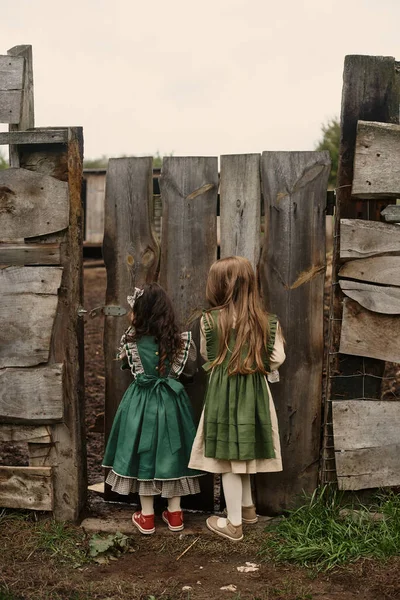 Retrato Duas Crianças Bonitos Belos Vestidos Verdes Perto Cerca Aldeia — Fotografia de Stock