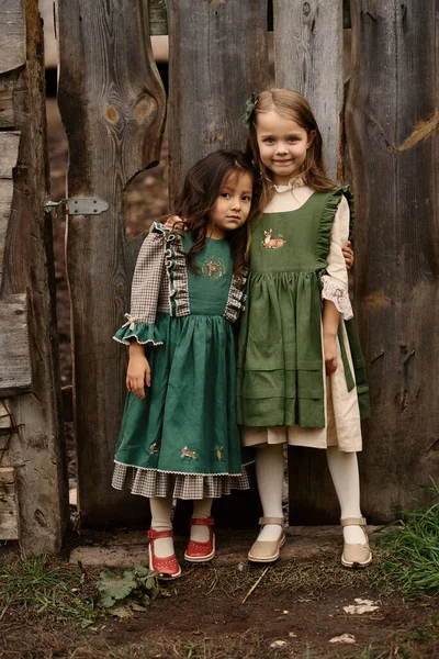 Güzel Yeşil Elbiseli Iki Şirin Çocuğun Portresi Çiftliğin Çitlerinin Yanında — Stok fotoğraf
