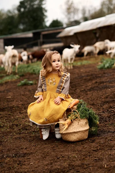 Güzel Sarı Elbiseli Şirin Bir Çocuğun Portresi Bir Çiftlikteki Bankta — Stok fotoğraf