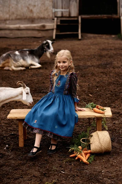 Güzel mavi elbiseli şirin bir çocuğun portresi bir çiftlikte keçi arka planında yürüyor.
