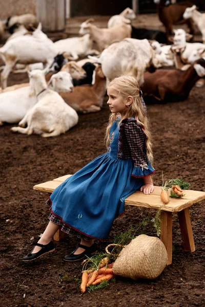 Güzel mavi elbiseli şirin bir çocuğun portresi bir çiftlikte keçi arka planında yürüyor.