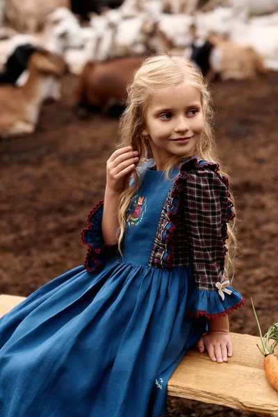 Güzel mavi elbiseli şirin bir çocuğun portresi bir çiftlikte keçi arka planında yürüyor.