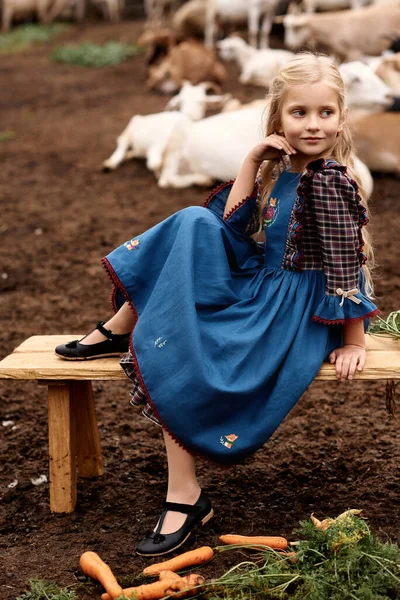 Güzel mavi elbiseli şirin bir çocuğun portresi bir çiftlikte keçi arka planında yürüyor.