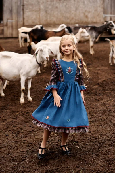 Güzel mavi elbiseli şirin bir çocuğun portresi bir çiftlikte keçi arka planında yürüyor.
