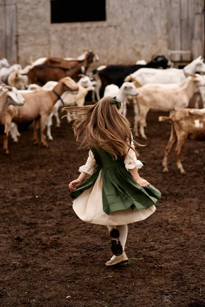 Çiftlikte yürüyen yeşil elbiseli şirin bir çocuğun portresi. 