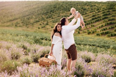 Lavanta tarlasında güzel, genç bir aile günü geçiriyor.