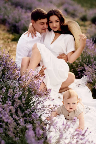 ครอบคร สวยงามในสนามลาเวนเดอร เวลาท — ภาพถ่ายสต็อก