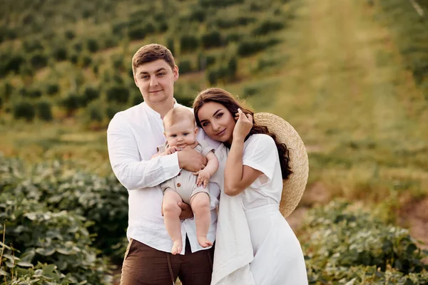 Giovane Bella Famiglia Con Bambino Nel Campo — Foto Stock