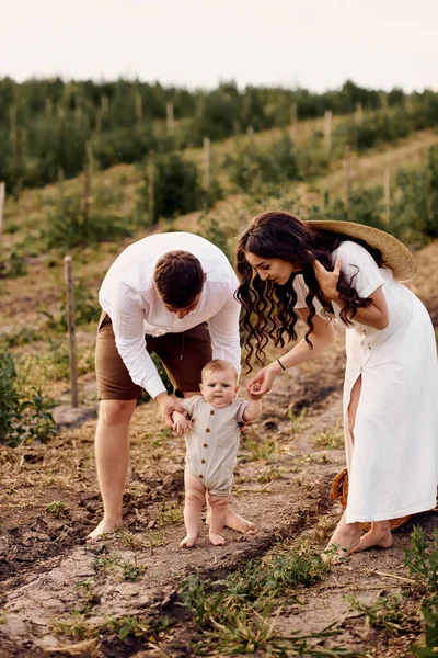 Junge Schöne Familie Mit Baby Auf Dem Feld — Stockfoto