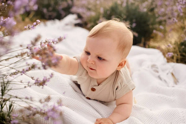 Portret Van Een Baby Een Lavendelveld — Stockfoto