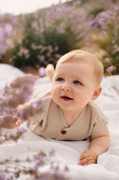 Portret Van Een Baby Een Lavendelveld — Stockfoto