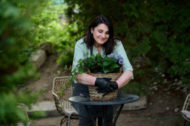 Küçük bir iş. Önlüklü ve eldivenli bir kadın yeşil bahçenin arka planındaki tahta bir tencereye çiçek yerleştirir.
