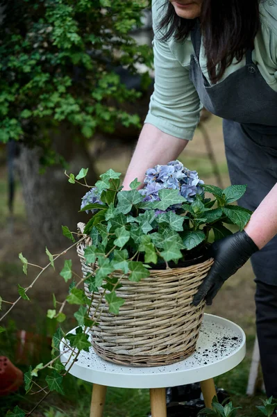 Μικρές Επιχειρήσεις Γυναίκα Ποδιά Και Γάντια Φυτεύει Λουλούδια Μια Ξύλινη — Φωτογραφία Αρχείου