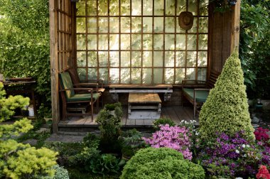 Bonsai ağacı dışarıda bir bahçede, bir taraçanın arka planında yetişiyor.