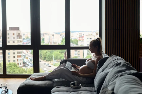 Beautiful Pregnant Business Woman Working Home Sitting Sofa Living Room — Stock Photo, Image