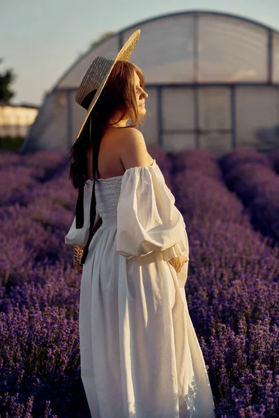Pregnant Girl Hat Lavender Field Sunset — ストック写真