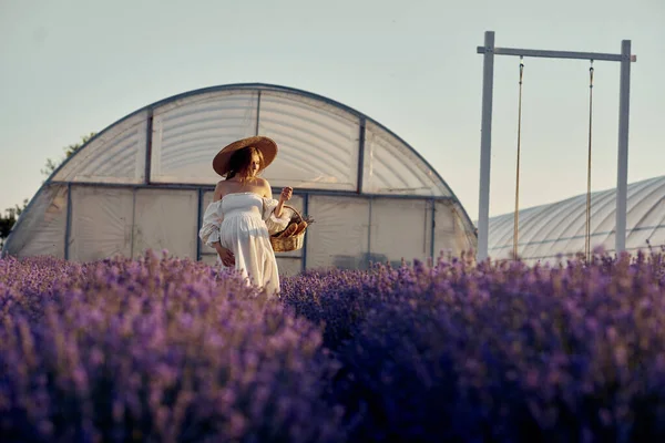 Pregnant Girl Hat Lavender Field Sunset — Fotografia de Stock
