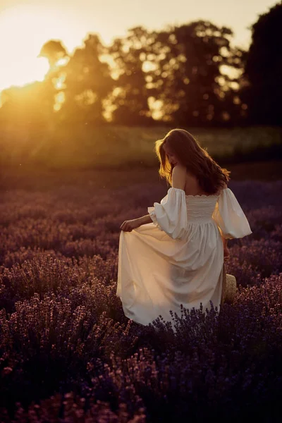 Pregnant Girl Hat Lavender Field Sunset — 스톡 사진