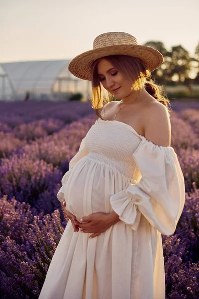 Pregnant Girl Hat Lavender Field Sunset – stockfoto