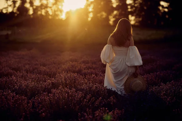 Ragazza Incinta Con Cappello Nel Campo Lavanda Tramonto — Foto Stock