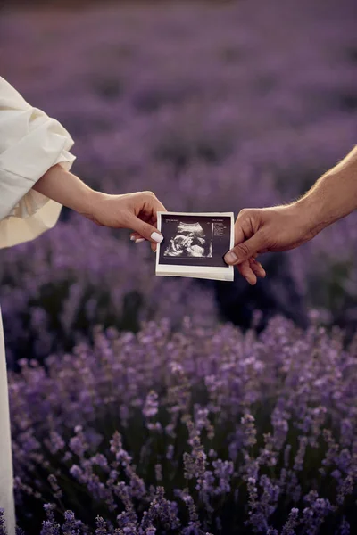 Mãos Casal Campo Lavanda Pôr Sol Segurando Primeira Imagem Ultrassonografia — Fotografia de Stock