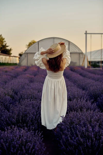 Ragazza Incinta Con Cappello Nel Campo Lavanda Tramonto — Foto Stock