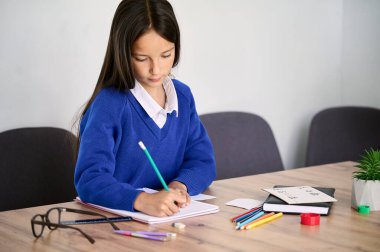 A portrait of a little schoolgirl in the classroom