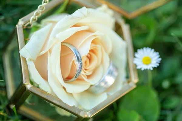 Anéis de casamento em ouro em uma flor azul orchidaceae, orquídea, phalaenopsis pronto para a noiva e noivo. — Fotografia de Stock