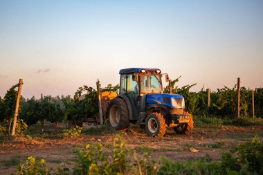 mantar ilacı ile püskürtme bağ traktörü