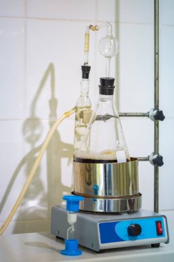 Büyük bir grup yeşil geri dönüşümlü cam şarap şişeleri, şaraphane