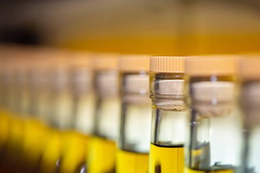 Bir vidalı kapak ile kapalı bir içki şişeleri. Fabrika alkollü içecek üretimi için