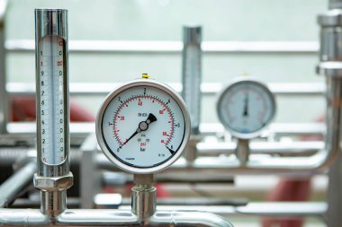 Büyük bir grup yeşil geri dönüşümlü cam şarap şişeleri, şaraphane