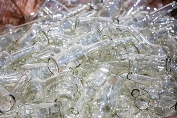 Велика група зелених перероблених скляних пляшок вина на виноробному заводі — стокове фото