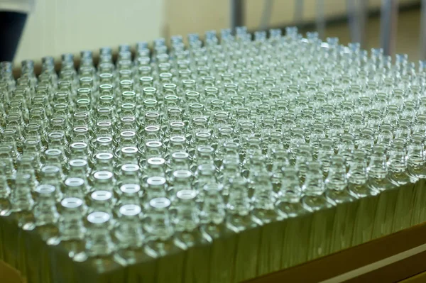 Gran grupo de botellas de vino de vidrio verde reciclado en la bodega —  Fotos de Stock