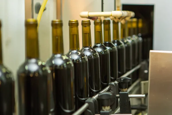 Garrafas de vidro não rotuladas em máquina de engarrafamento na vinícola moderna Fotografias De Stock Royalty-Free