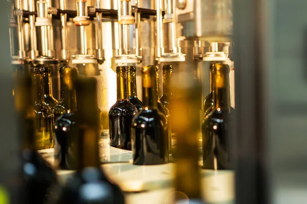 Garrafas de vidro não rotuladas em máquina de engarrafamento na vinícola moderna Fotografia De Stock