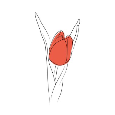 Elegant tulip flower vector icon. Red flowers illustration for web, mobile apps, design, social media.