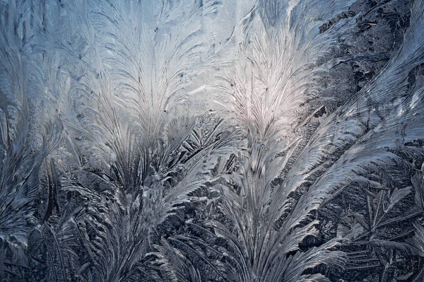 Зимний узор мороза на оконном стекле Стоковое Фото