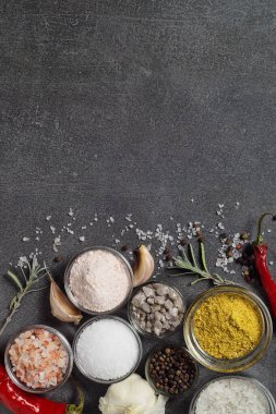 Culinary condiments and various salt