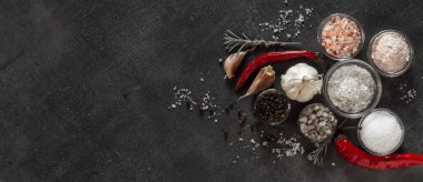 Culinary seasonings, red peppers, garlic and various salt on a dark background