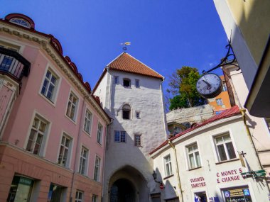 Tallinn, Estonya - 21 Temmuz 2022: Eski kentteki Picturesque Caddesi.