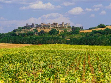 Monteriggioni, Toskana, İtalya 'nın pitoresk köyünün manzarası
