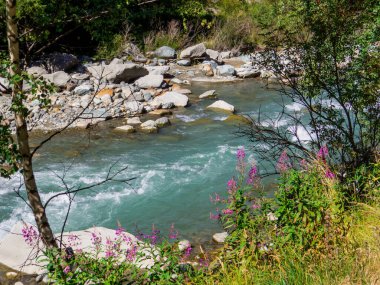 Kuzey İtalya, Aosta Vadisi 'ndeki Büyük Eyvia Torrent' in yaz manzarası