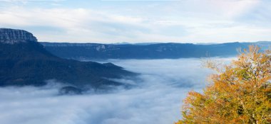 San Miguel de Aralar, Navarra, İspanya 'nın kayın ormanlarında sonbahar renkleri