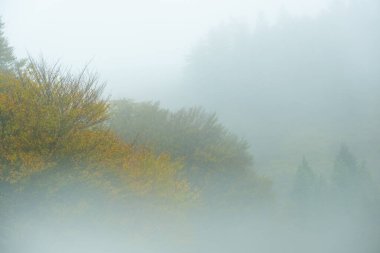 Aiako Harriak, Euskadi 'nin Doğal Parkı' nda Sonbahar