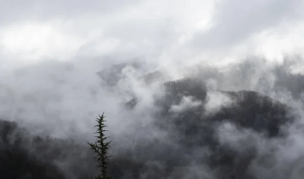 Nuvens Nevoeiros Parque Natural Aiako Harriak Euskadi — Fotografia de Stock