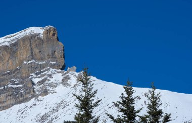 Oza ormanındaki Chipeta Alto, batı vadilerinin doğal parkı, Huesca