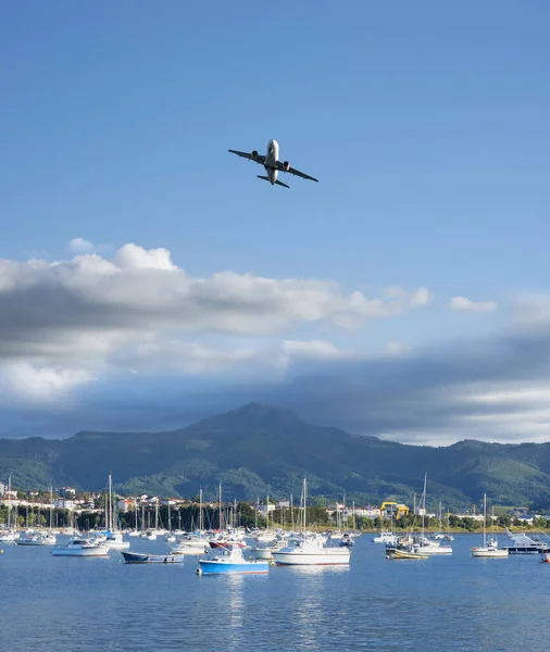 Plane flying over the ships and the mountains in the background.