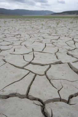 The earth is dry because of global warming.
